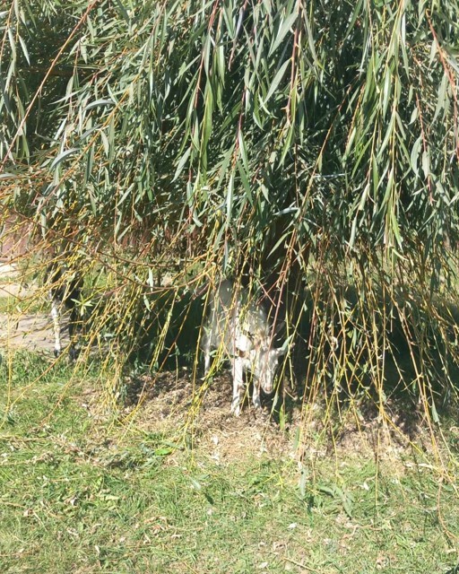 Képernyőkép 2024 10 08 181816